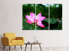 Laden Sie das Bild in den Galerie-Viewer, Leinwandbild 3-teilig Lotus in der Natur