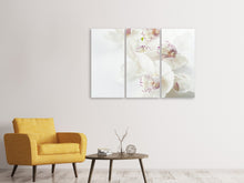 Laden Sie das Bild in den Galerie-Viewer, Leinwandbild 3-teilig Fantastische Orchideen