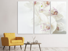 Laden Sie das Bild in den Galerie-Viewer, Leinwandbild 3-teilig Fantastische Orchideen