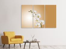 Laden Sie das Bild in den Galerie-Viewer, Leinwandbild 3-teilig Weisse Orchideen XL