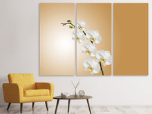 Laden Sie das Bild in den Galerie-Viewer, Leinwandbild 3-teilig Weisse Orchideen XL