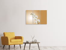 Laden Sie das Bild in den Galerie-Viewer, Leinwandbild 3-teilig Weisse Orchideen XL
