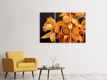 Laden Sie das Bild in den Galerie-Viewer, Leinwandbild 3-teilig Orchideen mit orangen Blüten