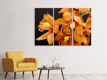 Laden Sie das Bild in den Galerie-Viewer, Leinwandbild 3-teilig Orchideen mit orangen Blüten