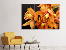 Laden Sie das Bild in den Galerie-Viewer, Leinwandbild 3-teilig Orchideen mit orangen Blüten