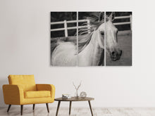 Laden Sie das Bild in den Galerie-Viewer, Leinwandbild 3-teilig Da steht ein Pferd