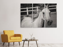 Laden Sie das Bild in den Galerie-Viewer, Leinwandbild 3-teilig Da steht ein Pferd