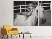 Laden Sie das Bild in den Galerie-Viewer, Leinwandbild 3-teilig Da steht ein Pferd
