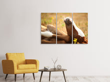 Laden Sie das Bild in den Galerie-Viewer, Leinwandbild 3-teilig Das schlafende Pferd