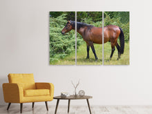 Laden Sie das Bild in den Galerie-Viewer, Leinwandbild 3-teilig Kräftiges Pferd