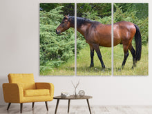 Laden Sie das Bild in den Galerie-Viewer, Leinwandbild 3-teilig Kräftiges Pferd