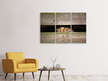 Laden Sie das Bild in den Galerie-Viewer, Leinwandbild 3-teilig Katze im Versteck
