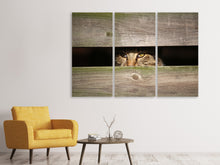 Laden Sie das Bild in den Galerie-Viewer, Leinwandbild 3-teilig Katze im Versteck