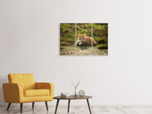 Laden Sie das Bild in den Galerie-Viewer, Leinwandbild 3-teilig Kitten in der Natur
