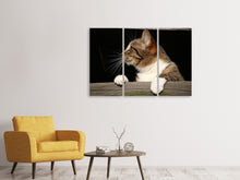 Laden Sie das Bild in den Galerie-Viewer, Leinwandbild 3-teilig XL Katze