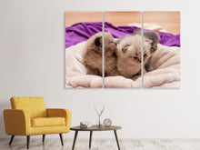 Laden Sie das Bild in den Galerie-Viewer, Leinwandbild 3-teilig Kitten Trio zum Verlieben