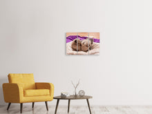 Laden Sie das Bild in den Galerie-Viewer, Leinwandbild 3-teilig Kitten Trio zum Verlieben