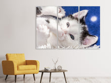Laden Sie das Bild in den Galerie-Viewer, Leinwandbild 3-teilig Süsses Kitten