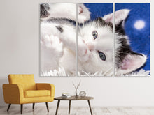 Laden Sie das Bild in den Galerie-Viewer, Leinwandbild 3-teilig Süsses Kitten