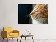 Laden Sie das Bild in den Galerie-Viewer, Leinwandbild 3-teilig Kitten Nase