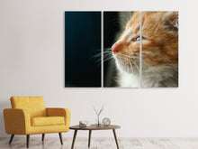Laden Sie das Bild in den Galerie-Viewer, Leinwandbild 3-teilig Kitten Nase