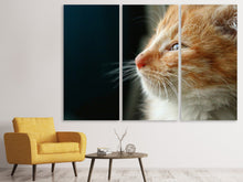 Laden Sie das Bild in den Galerie-Viewer, Leinwandbild 3-teilig Kitten Nase
