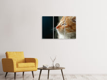 Laden Sie das Bild in den Galerie-Viewer, Leinwandbild 3-teilig Kitten Nase