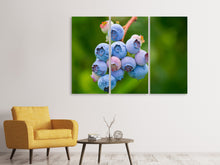 Laden Sie das Bild in den Galerie-Viewer, Leinwandbild 3-teilig Heidelbeeren in der Natur