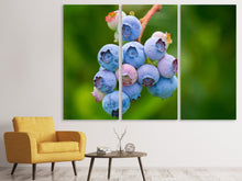 Laden Sie das Bild in den Galerie-Viewer, Leinwandbild 3-teilig Heidelbeeren in der Natur