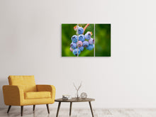 Laden Sie das Bild in den Galerie-Viewer, Leinwandbild 3-teilig Heidelbeeren in der Natur
