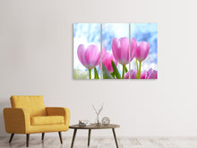 Laden Sie das Bild in den Galerie-Viewer, Leinwandbild 3-teilig Tulpen in der Natur