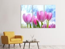 Laden Sie das Bild in den Galerie-Viewer, Leinwandbild 3-teilig Tulpen in der Natur