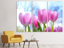 Laden Sie das Bild in den Galerie-Viewer, Leinwandbild 3-teilig Tulpen in der Natur