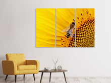 Laden Sie das Bild in den Galerie-Viewer, Leinwandbild 3-teilig Biene auf der Sonnenblume