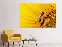 Laden Sie das Bild in den Galerie-Viewer, Leinwandbild 3-teilig Biene auf der Sonnenblume