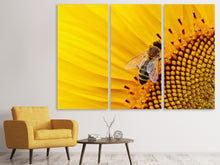 Laden Sie das Bild in den Galerie-Viewer, Leinwandbild 3-teilig Biene auf der Sonnenblume