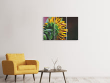 Laden Sie das Bild in den Galerie-Viewer, Leinwandbild 3-teilig Sonnenblume Close up