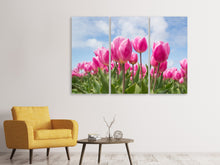 Laden Sie das Bild in den Galerie-Viewer, Leinwandbild 3-teilig Tulpenfeld in rosa