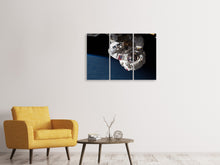 Laden Sie das Bild in den Galerie-Viewer, Leinwandbild 3-teilig Astronaut in XL