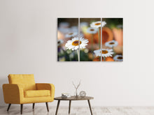 Laden Sie das Bild in den Galerie-Viewer, Leinwandbild 3-teilig Margeriten XL