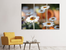 Laden Sie das Bild in den Galerie-Viewer, Leinwandbild 3-teilig Margeriten XL