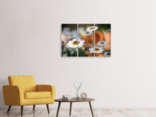 Laden Sie das Bild in den Galerie-Viewer, Leinwandbild 3-teilig Margeriten XL