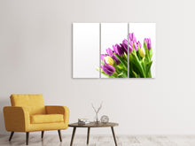 Laden Sie das Bild in den Galerie-Viewer, Leinwandbild 3-teilig Tulpen in XL