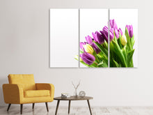 Laden Sie das Bild in den Galerie-Viewer, Leinwandbild 3-teilig Tulpen in XL