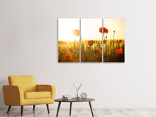 Laden Sie das Bild in den Galerie-Viewer, Leinwandbild 3-teilig Mohn im Sonnenuntergang