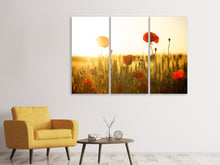 Laden Sie das Bild in den Galerie-Viewer, Leinwandbild 3-teilig Mohn im Sonnenuntergang
