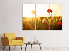 Laden Sie das Bild in den Galerie-Viewer, Leinwandbild 3-teilig Mohn im Sonnenuntergang