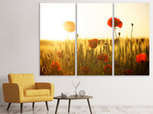 Laden Sie das Bild in den Galerie-Viewer, Leinwandbild 3-teilig Mohn im Sonnenuntergang