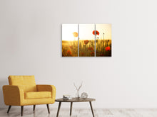 Laden Sie das Bild in den Galerie-Viewer, Leinwandbild 3-teilig Mohn im Sonnenuntergang