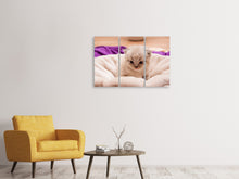 Laden Sie das Bild in den Galerie-Viewer, Leinwandbild 3-teilig Kitten zum Verlieben